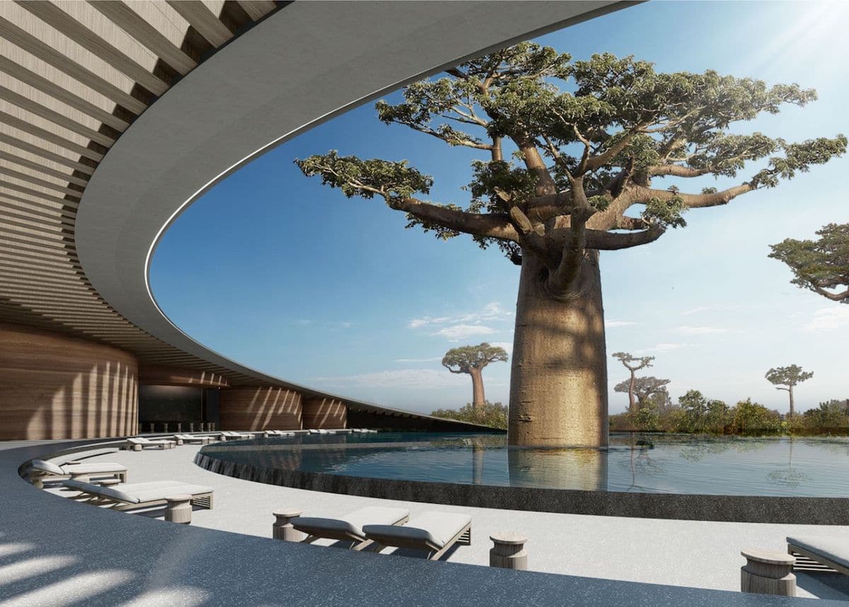 La Reserve by SAOTA winds around a baobab tree