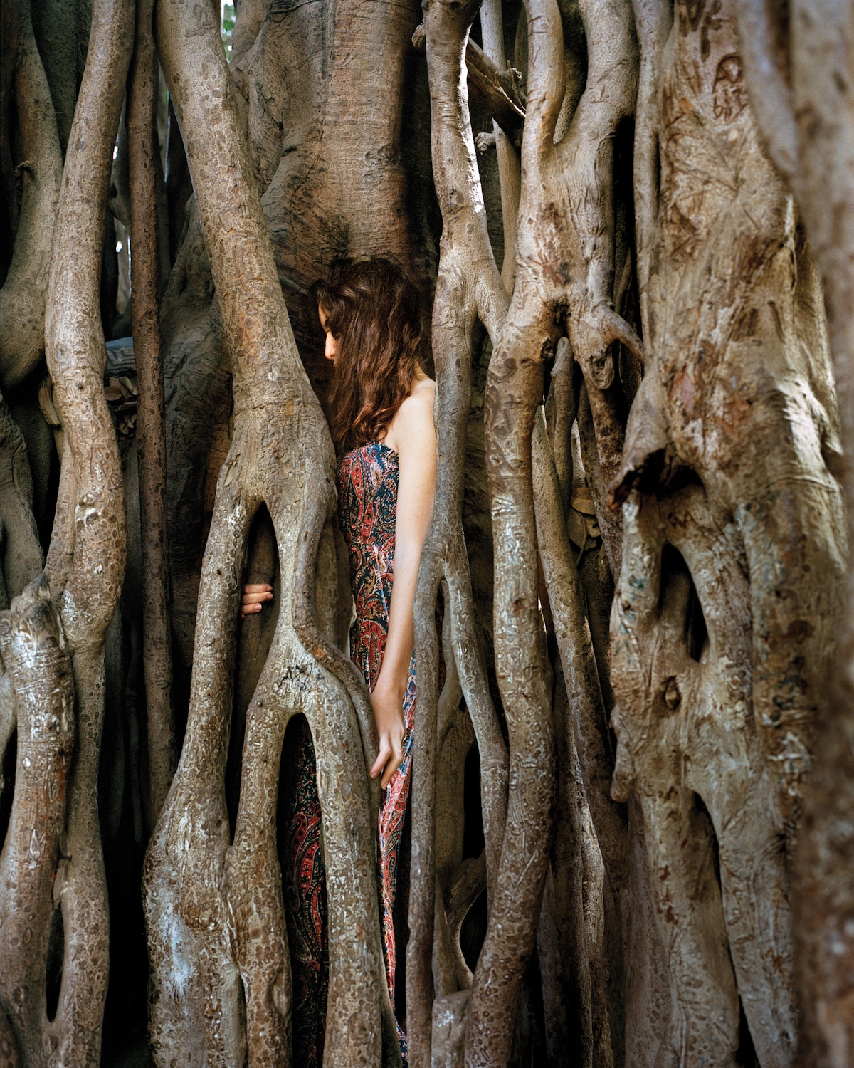 Young Woman Immersed in Trees
