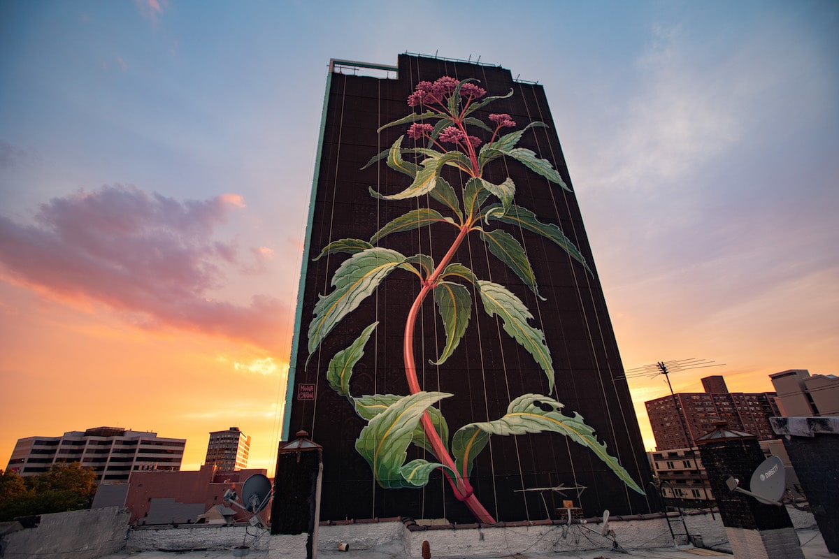 Flower Mural by Mona Caron