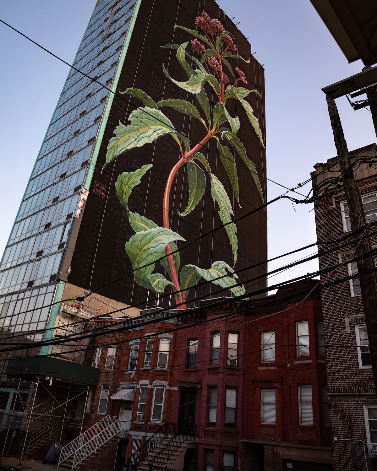Flower Mural by Mona Caron