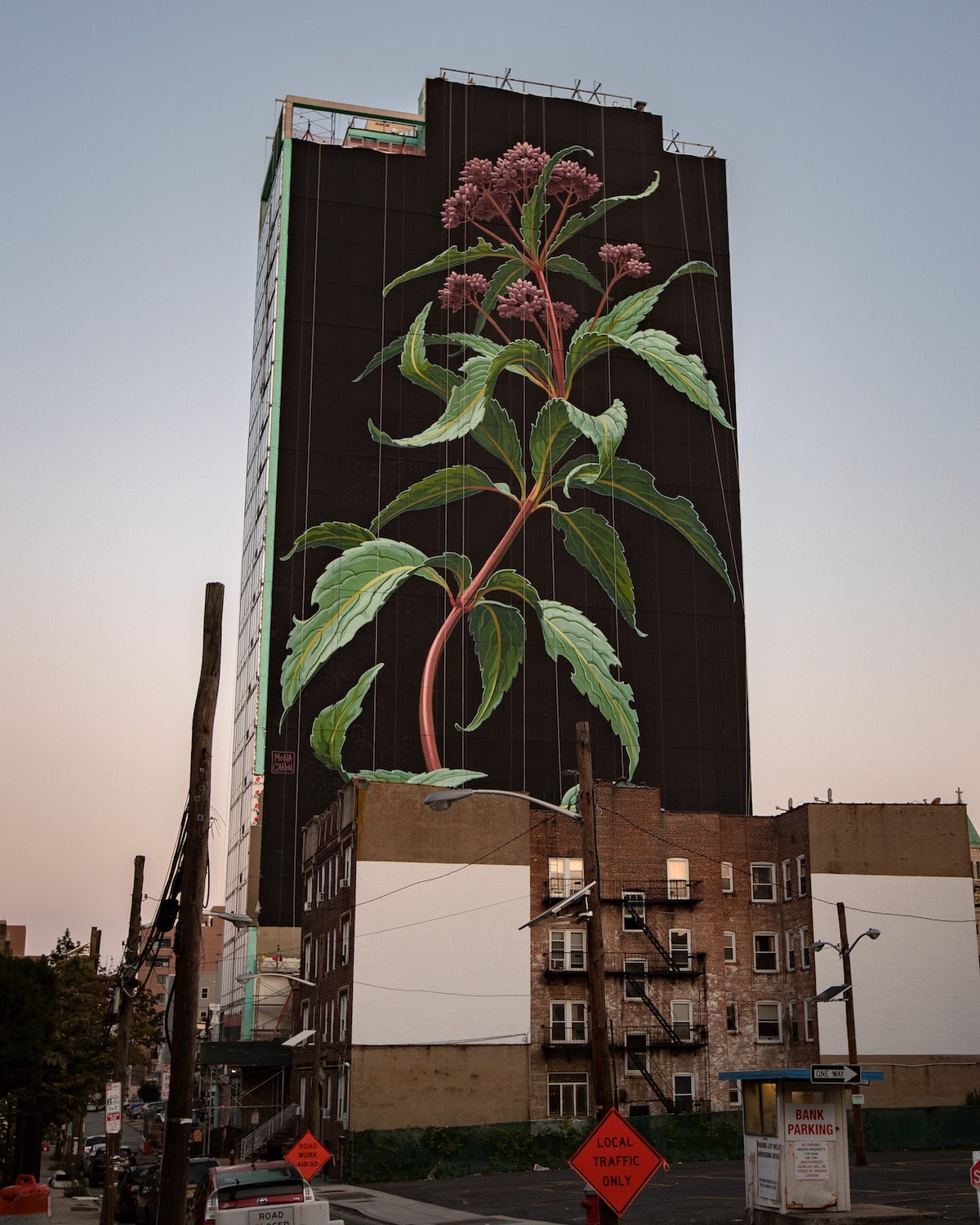 Flower Mural by Mona Caron