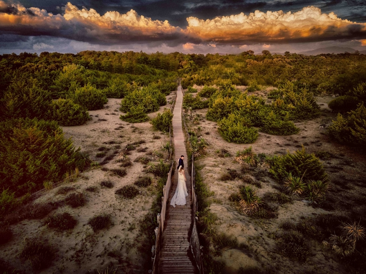 Aerial Photo of Bride and Groom on the Beach