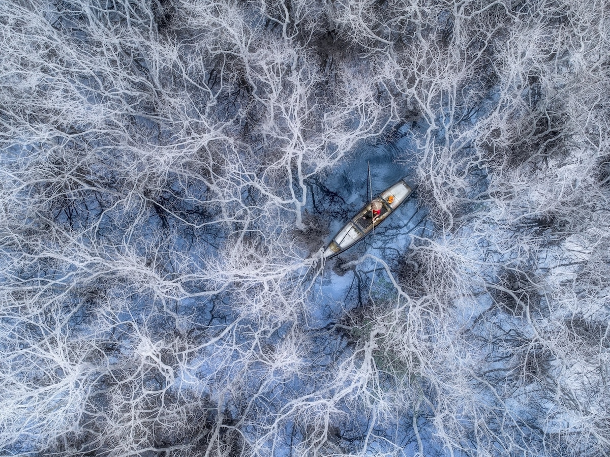 Aerial Image of Man Fishing in Mangrove Forest