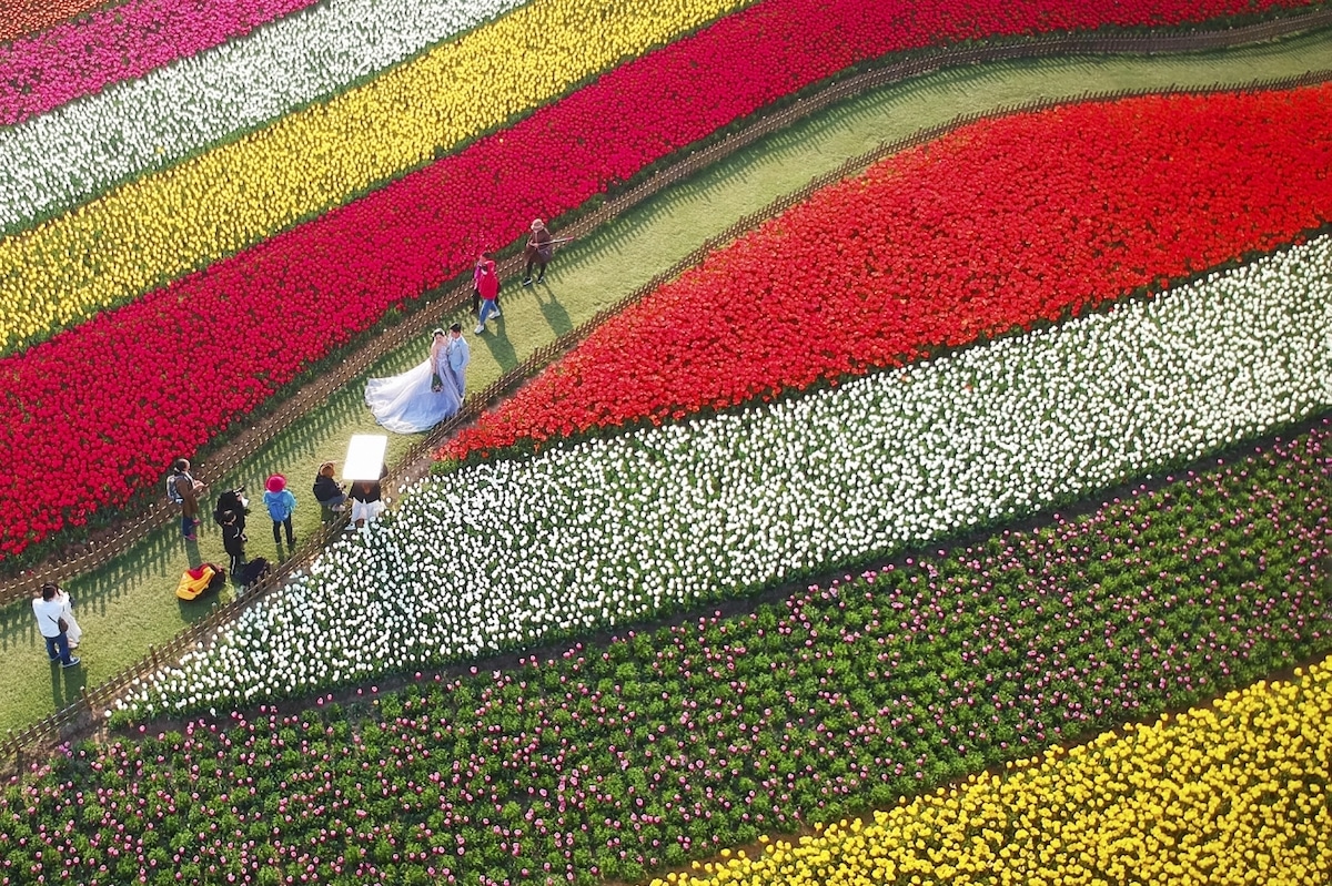 Drone Photo of Bride and Groom in Garden