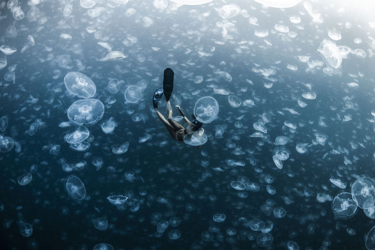 Ocean Photography Awards 2021