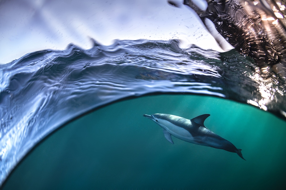 Gergo Rugli Ocean Photography