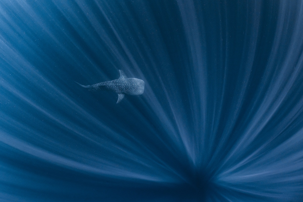 Ocean Photography Awards 2021