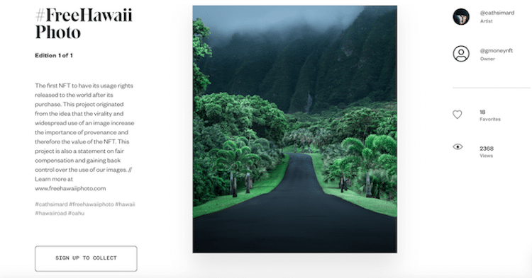 Hawaii Road Photograph