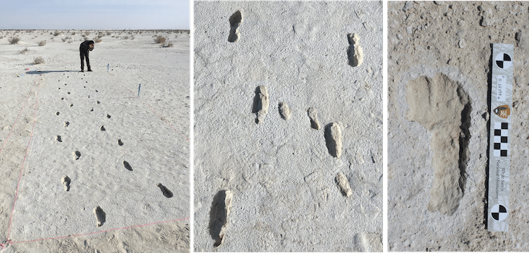 Fossil Footprints From First Humans in North America Found at White Sands, New Mexico