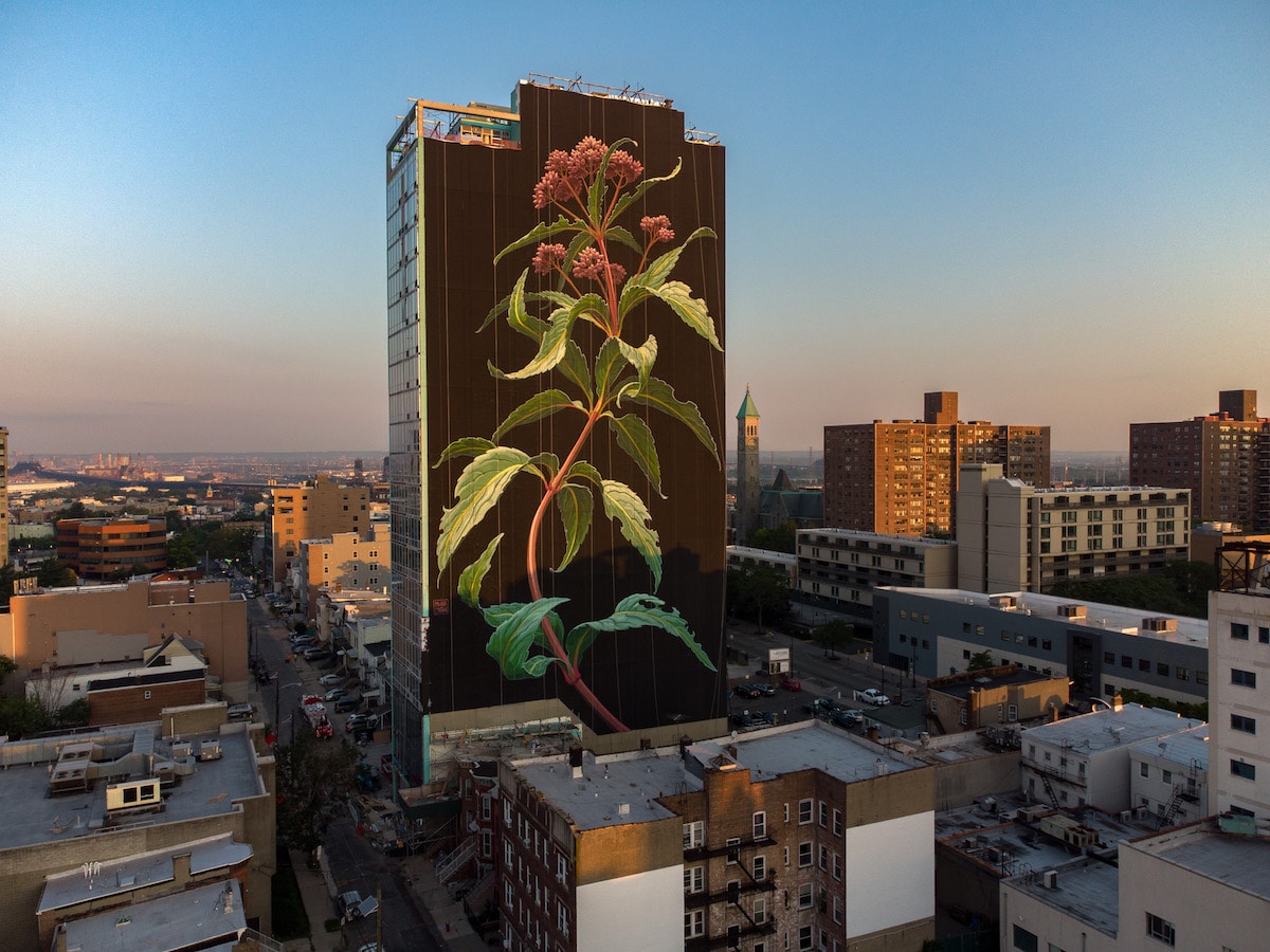 Flower Mural by Mona Caron