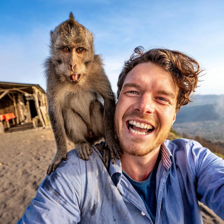 Allan Dixon Animal Selfie