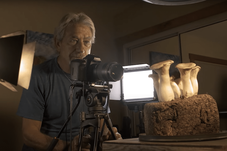 Louie Schwartzberg Filming Fantastic Fungi Time Lapse Video