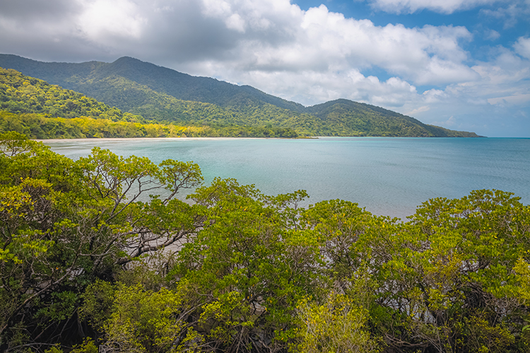Ownership of World’s Oldest Daintree Rainforest Is Returned to Its Aboriginal Inhabitants