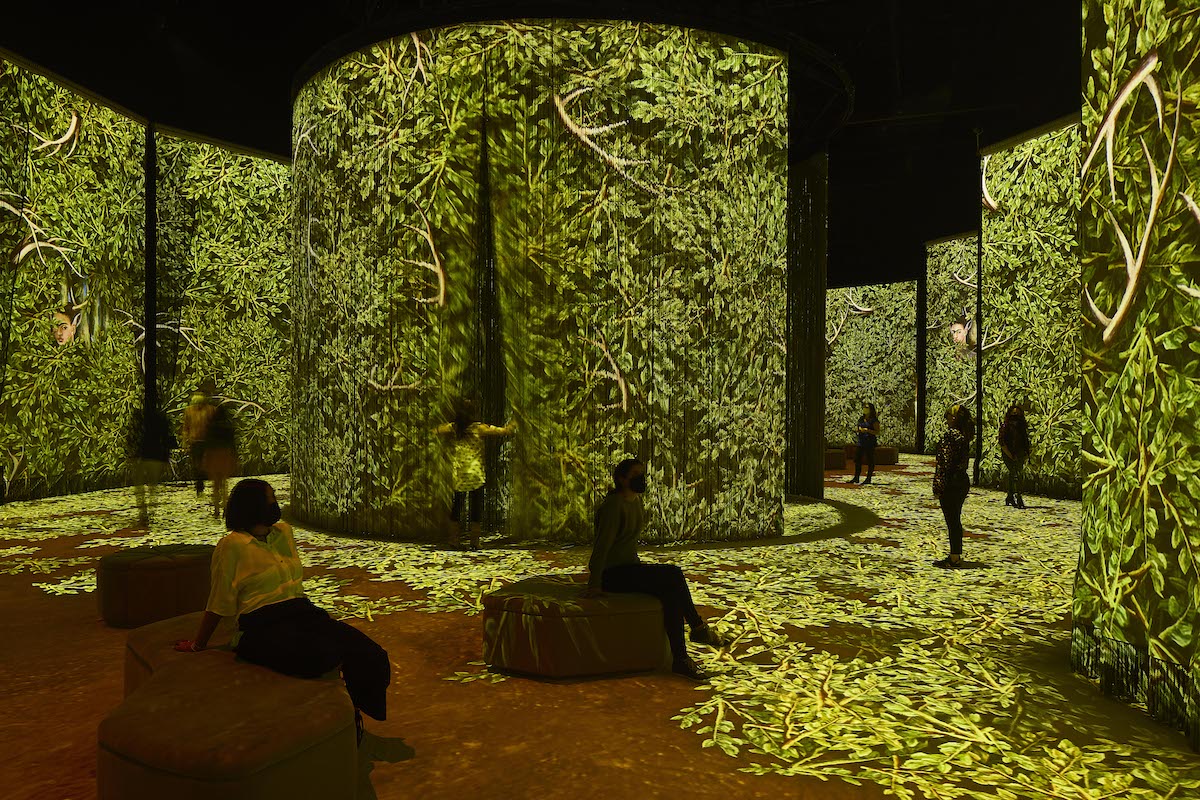 Frida Kahlo Exhibition