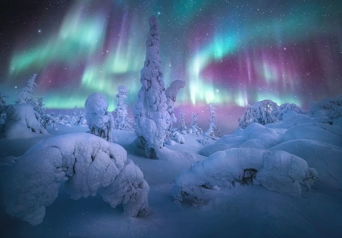 Snowy Forest Under the Northern Lights in Alaska