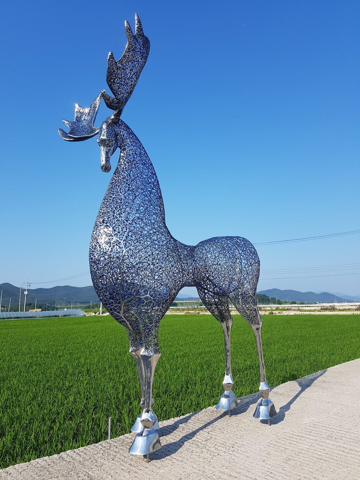 Animal Sculpture by Kang Dong Hyun