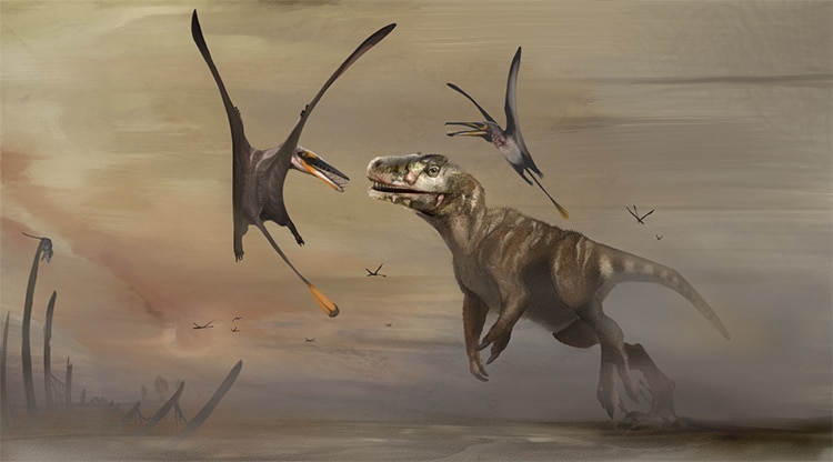 Pterosaur Image