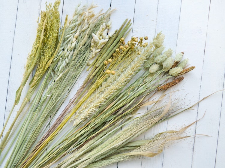 Dried Flowers