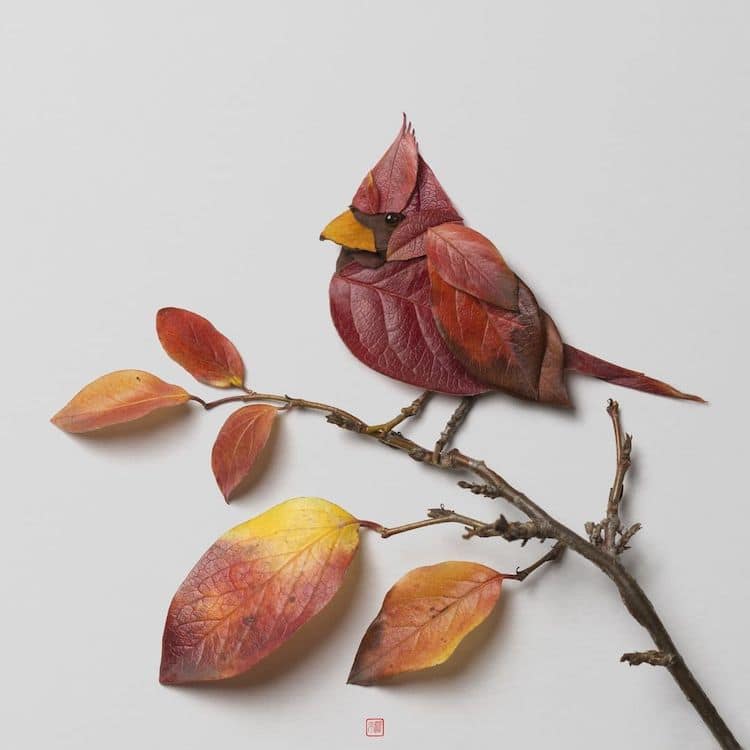 Plant Arrangements by Raku Inoue