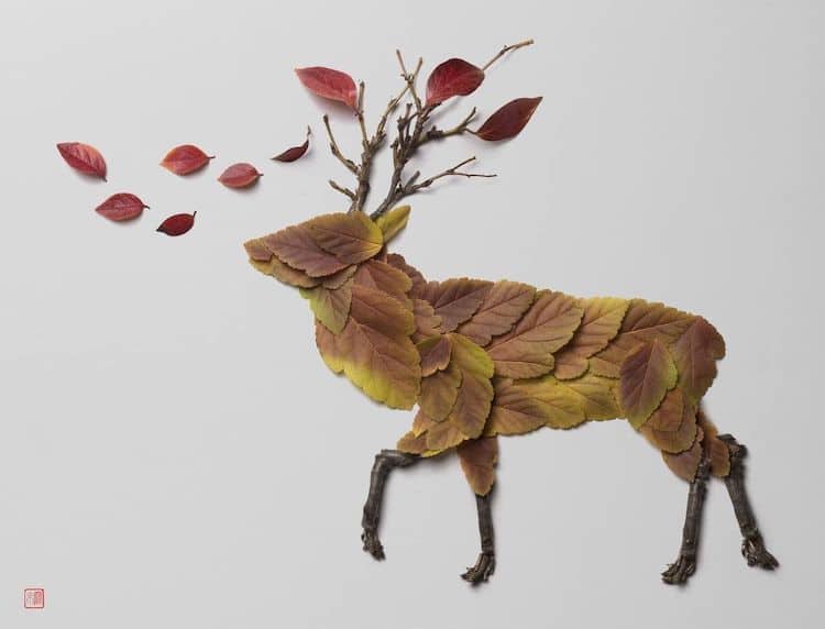Plant Arrangements by Raku Inoue