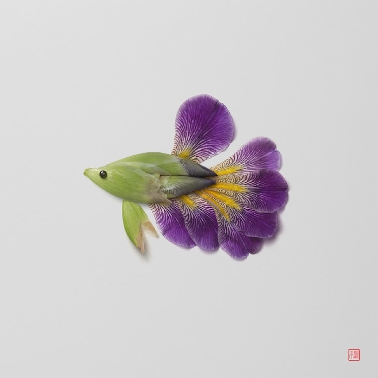 Plant Arrangements by Raku Inoue