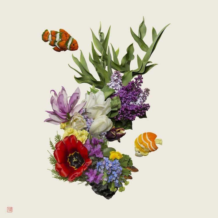 Plant Arrangements by Raku Inoue