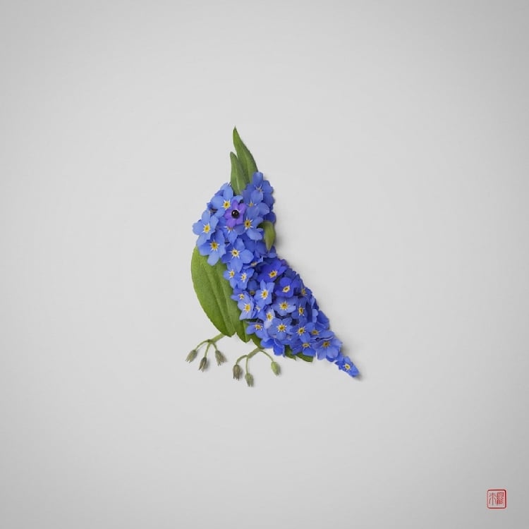 Plant Arrangements by Raku Inoue