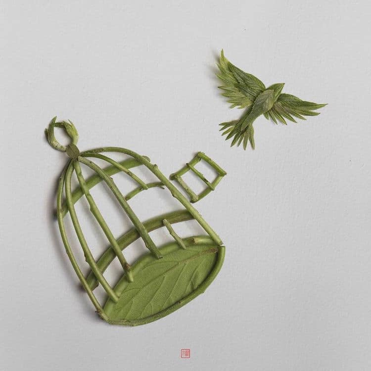 Plant Arrangements by Raku Inoue