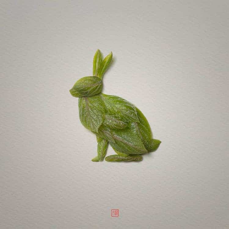 Plant Arrangements by Raku Inoue