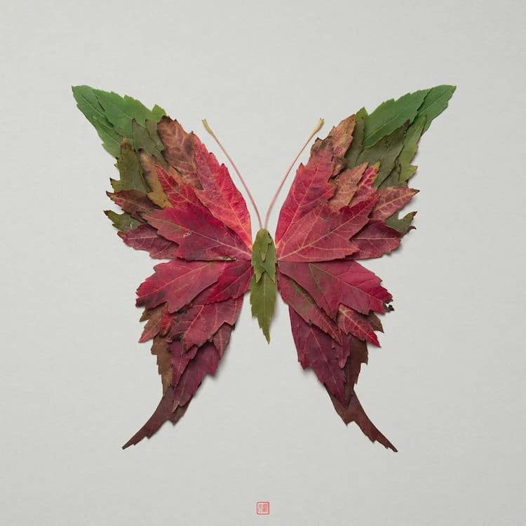 Plant Arrangements by Raku Inoue