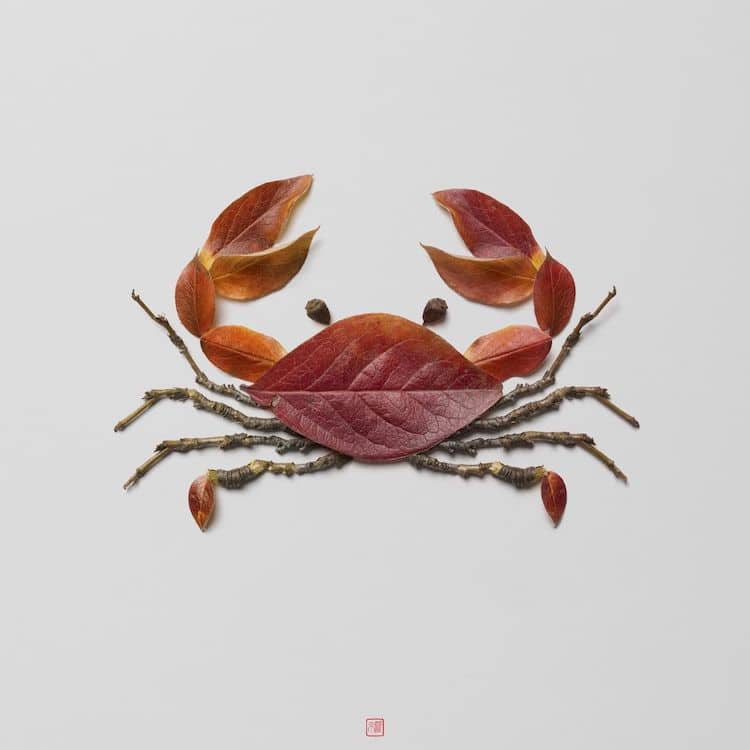 Plant Arrangements by Raku Inoue