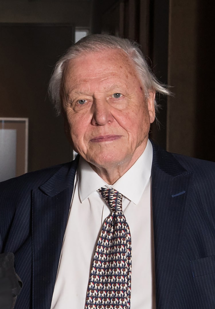 Sir David Attenborough