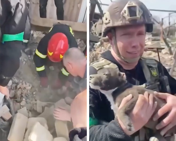 Ukrainian Police Save Puppy Near Donetsk