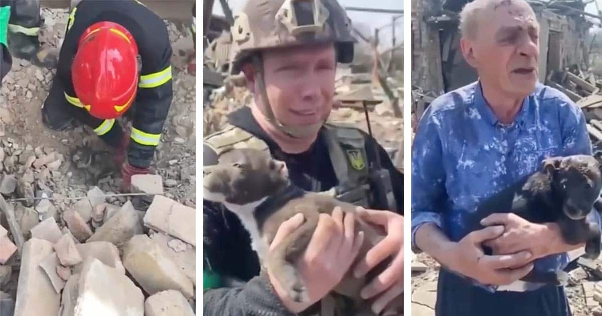ukrainian-police-save-puppy-near-donetsk-fb-thumbnail.jpg - ViralBandit