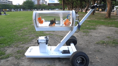 custom-fish-tank1