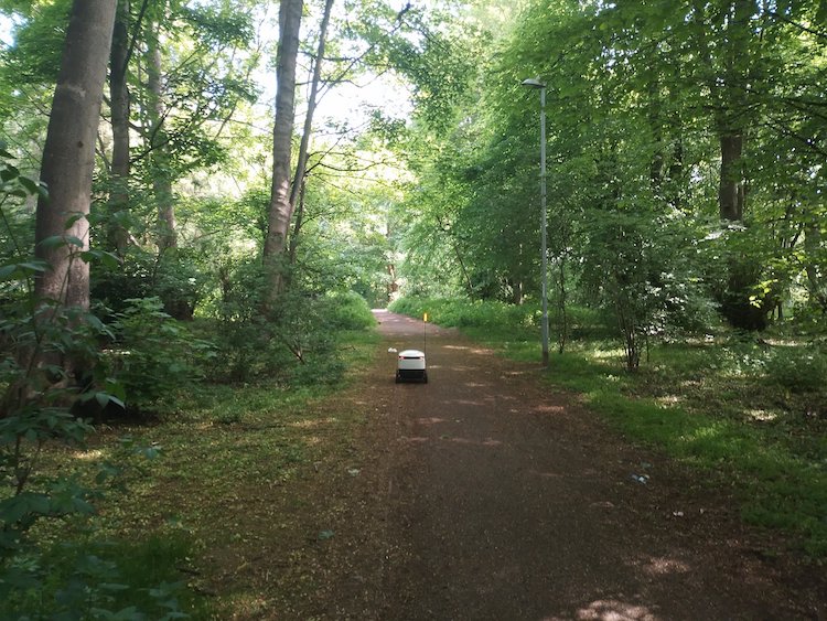 Delivery Robot Lost in the Woods