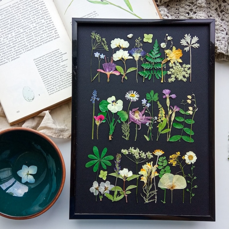 Pressed Flower Art by Anna Zakirova