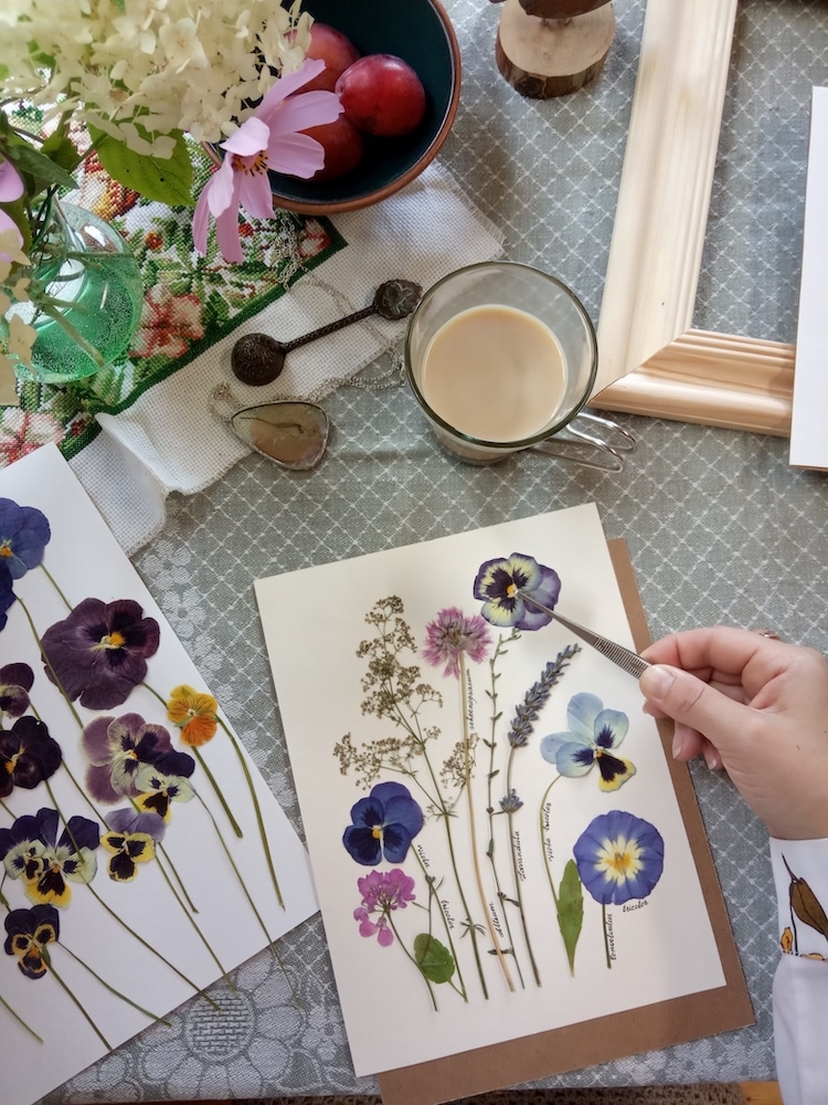 Pressed Flower Art by Anna Zakirova