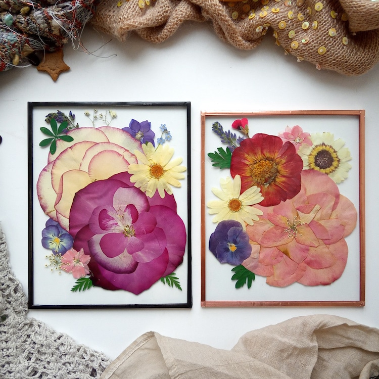 Pressed Flower Art by Anna Zakirova