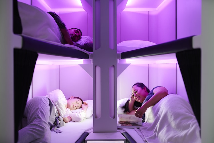 Airplane Bunk Beds by Air New Zealand