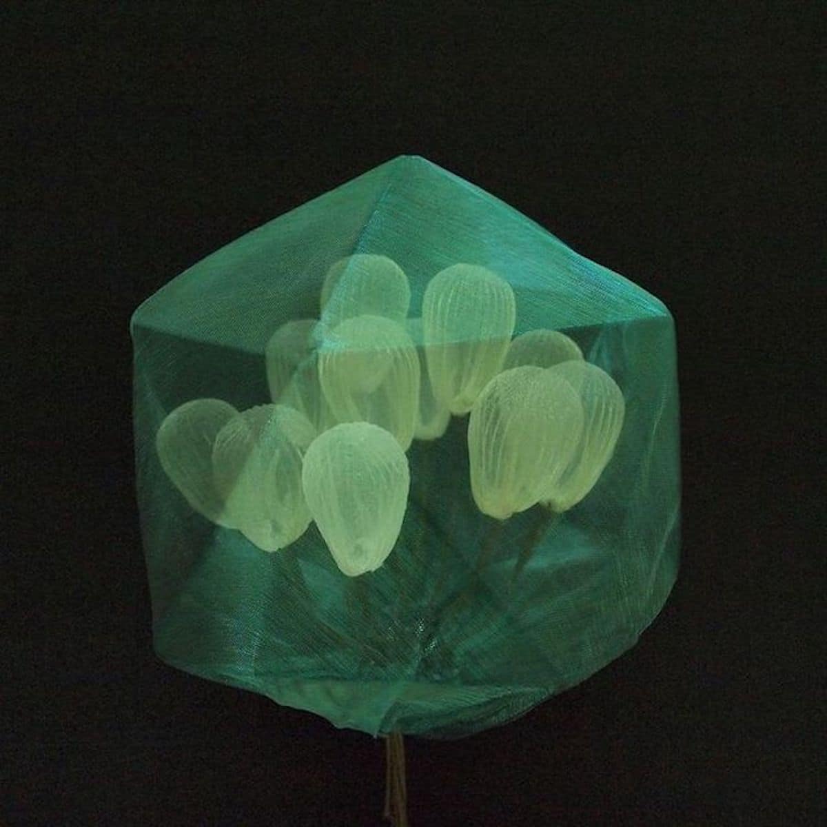 Fabric Sculptures by Mariko Kusumoto