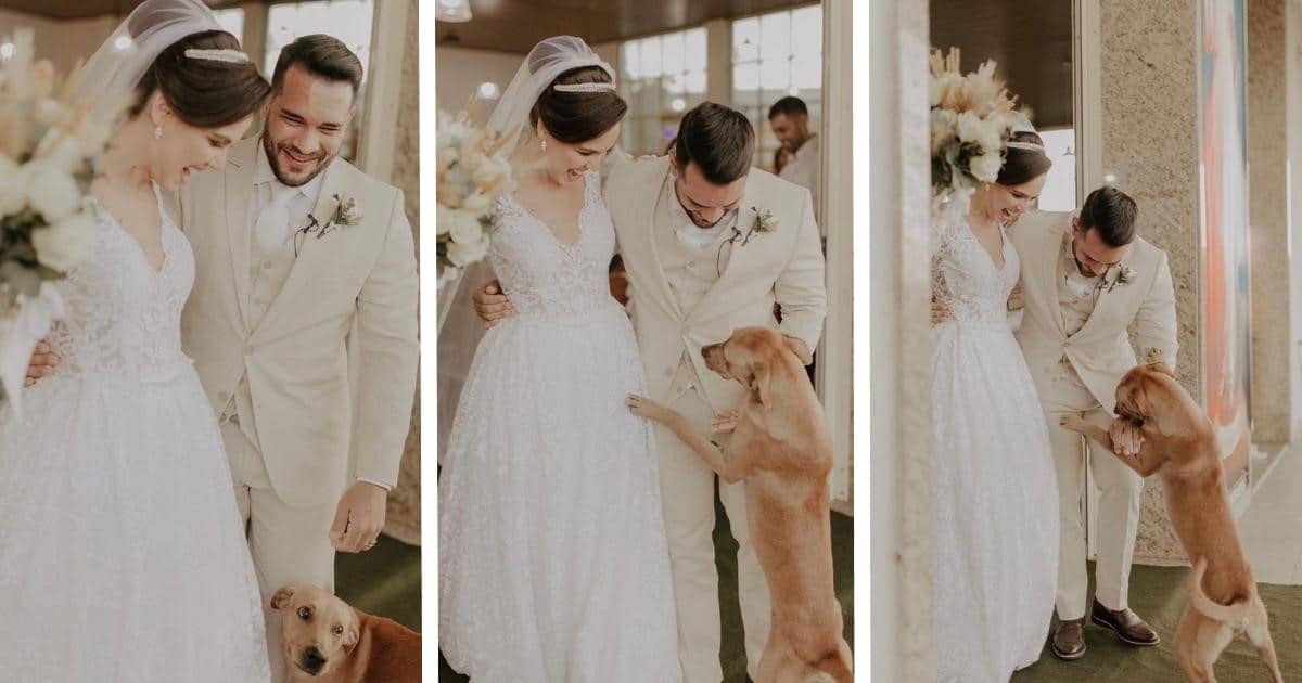 dog-crashes-wedding-fb.jpg - ViralBandit