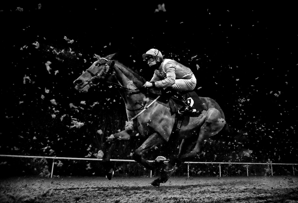 Goring ridden by Charles Bishop during the Play 4 To Win At Betway Handicap at Wolverhampton Racecourse