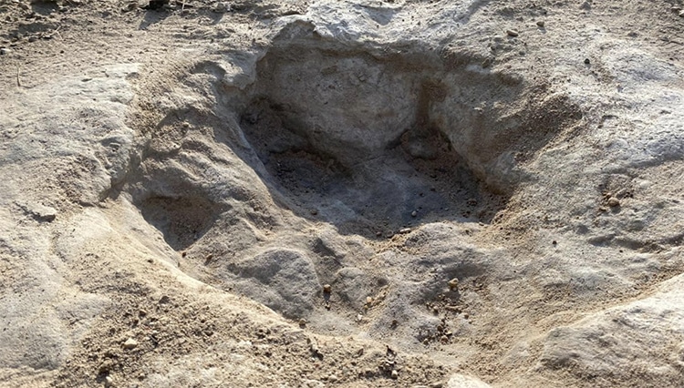 110-Million-Year-Old Dinosaur Tracks in Texas Riverbed Emerge as Waters Recede