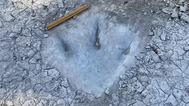 110-Million-Year-Old Dinosaur Tracks in Texas Riverbed Emerge as Waters Recede