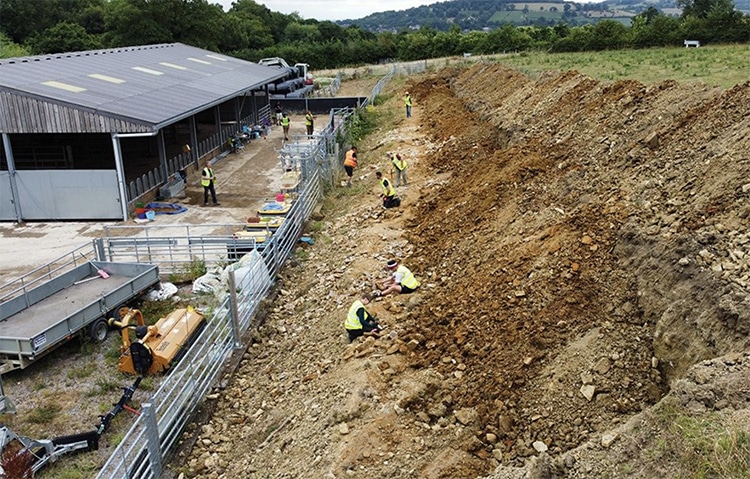 Fossils Discovered on Farm