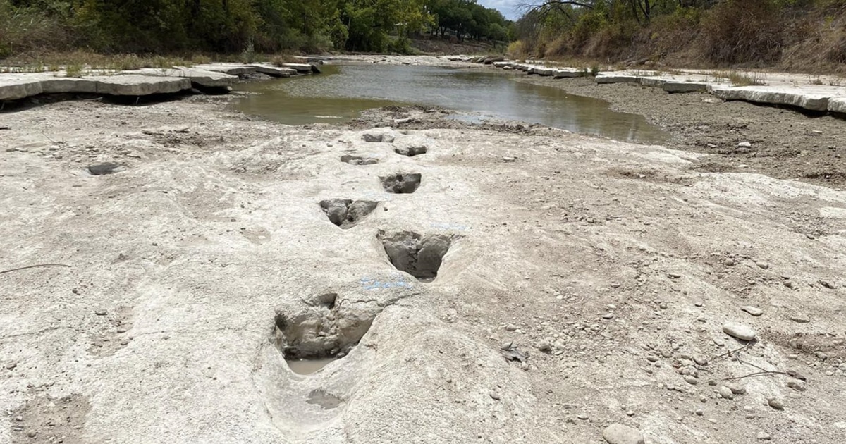dinosaur-footprints-texas-thumbnail.jpg - ViralBandit