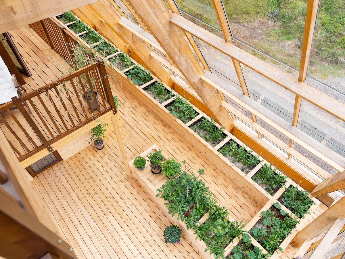 Greenhouse in Home