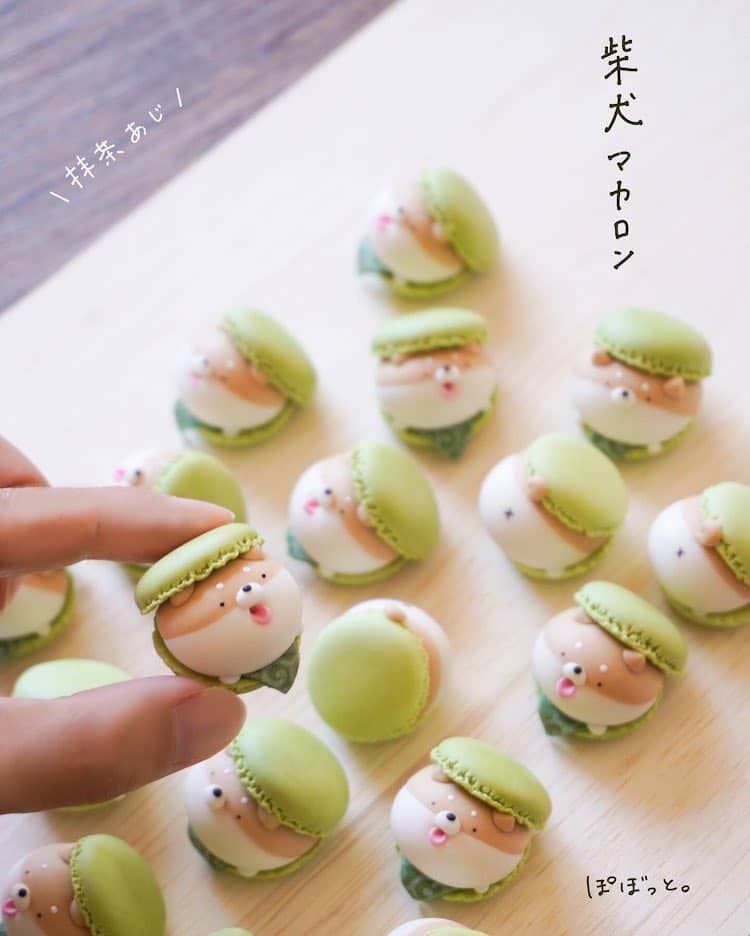 Shiba Inu Macaron Sculptures by Pobot