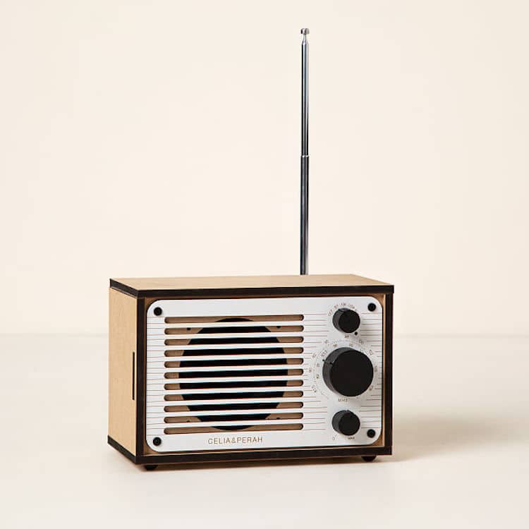 Build Your Own Radio Kit